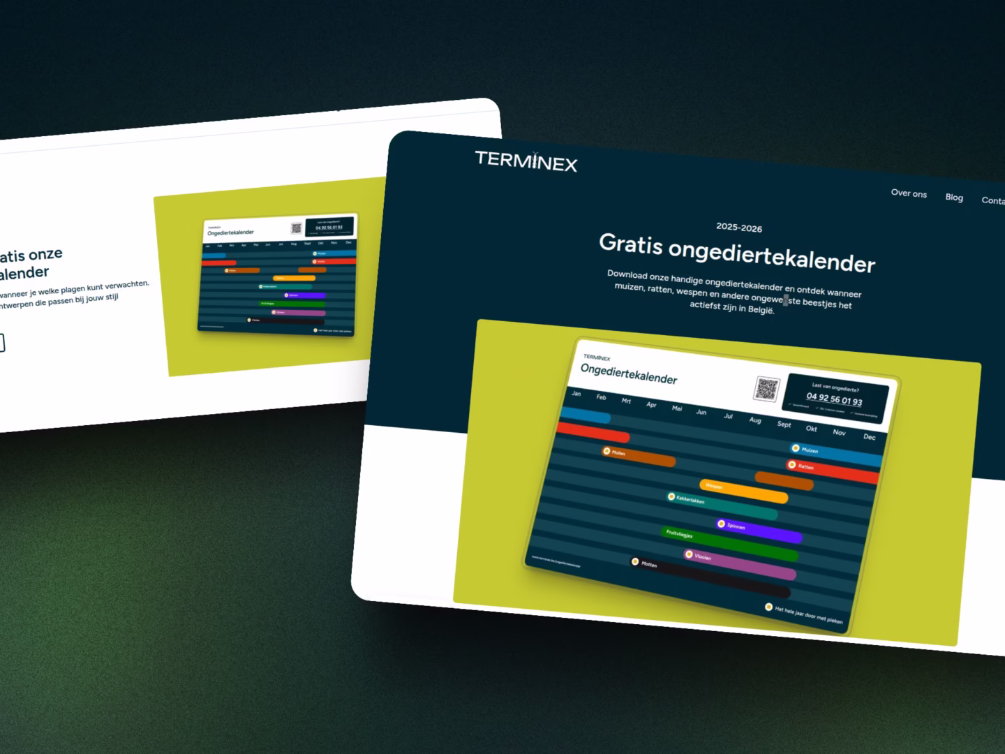 Terminex website showcase